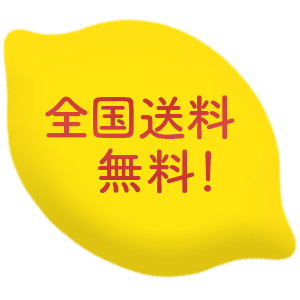 全国送料無料