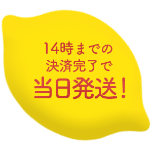 14時までの決済完了で当日発送